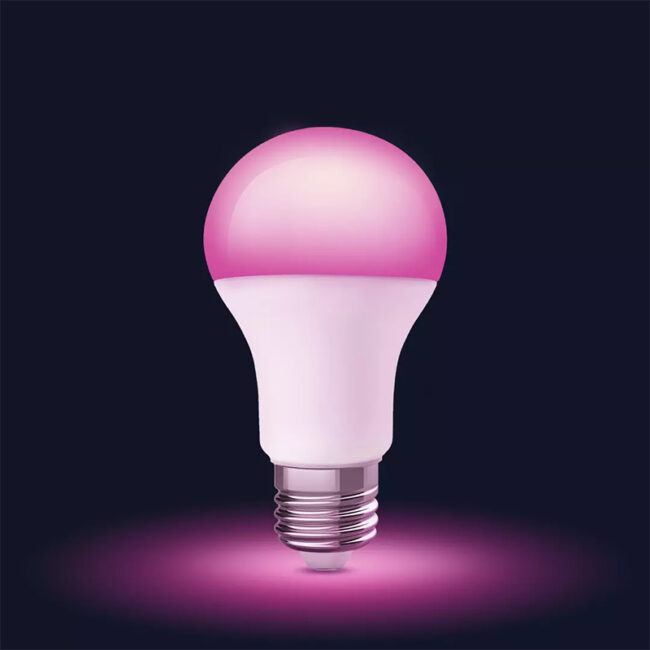 Philips Smart Color Light Bulb