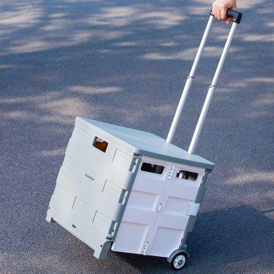 MAIWEI Trolley Foldable Travel Storage Car Box 55L